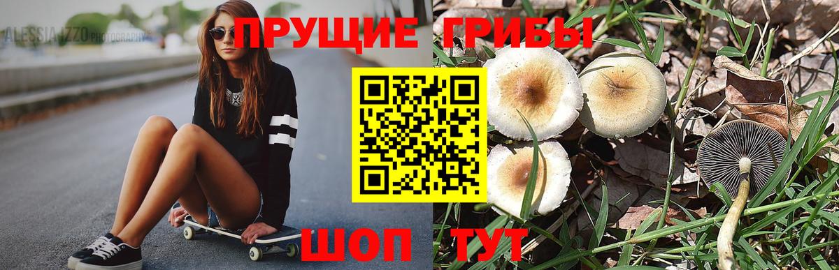 Галлюциногенные грибы GOLDEN TEACHER Канск